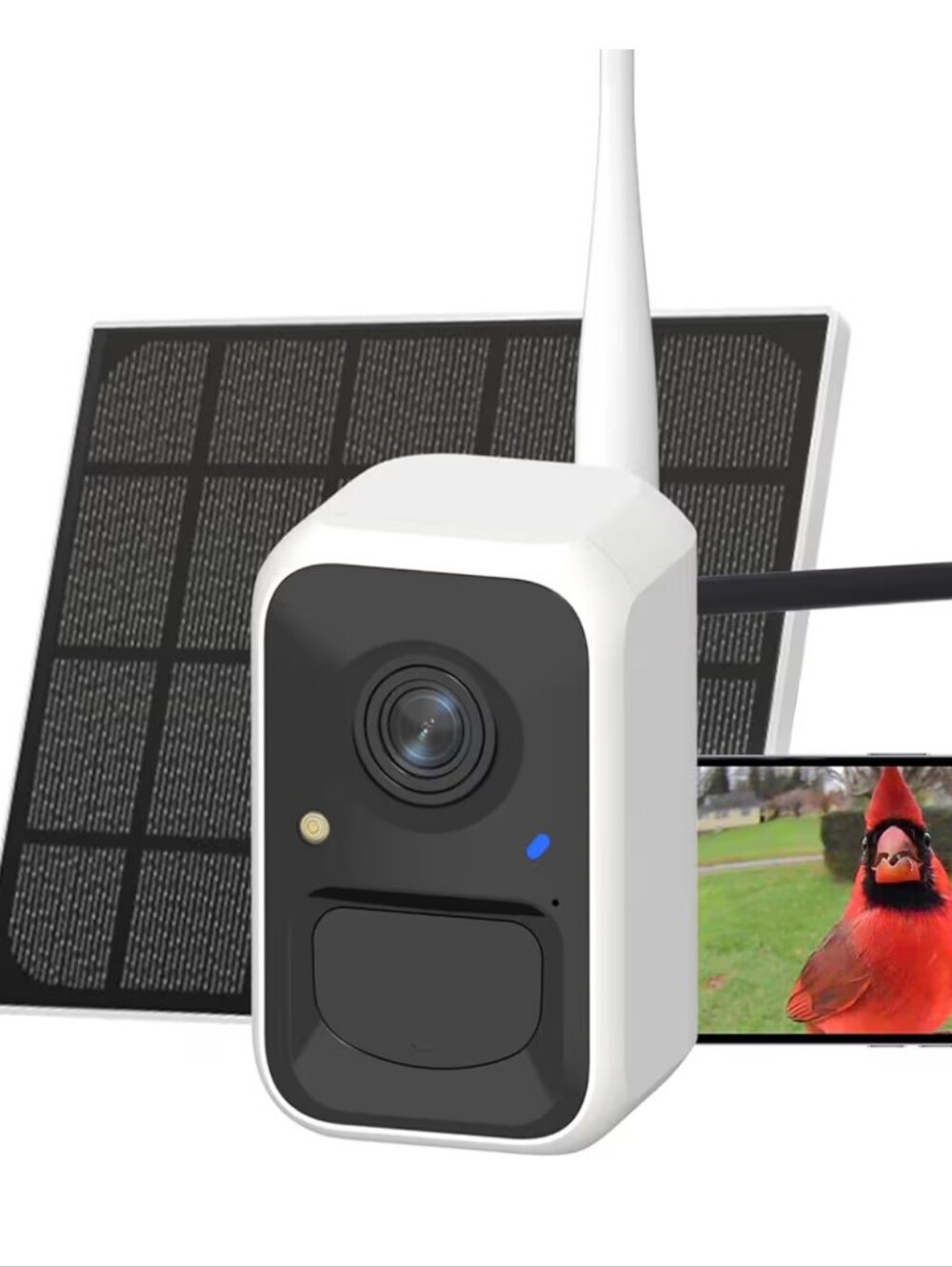 Netvue Birdfy Cam Solar Panel FHD Camera For Bird Watching